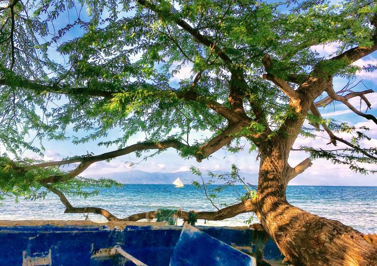 claudia-altamimi-1tNmziBZCT8-unsplash