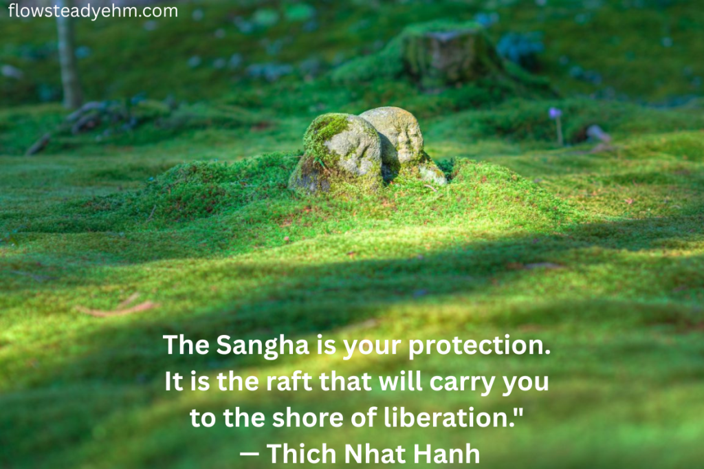 photo of grass field with two beings supporting each other with text "The Sangha is your protection. It is the raft that will carry you to the shore of liberation." — Thich Nhat Hanh

Image by @jordymeow
